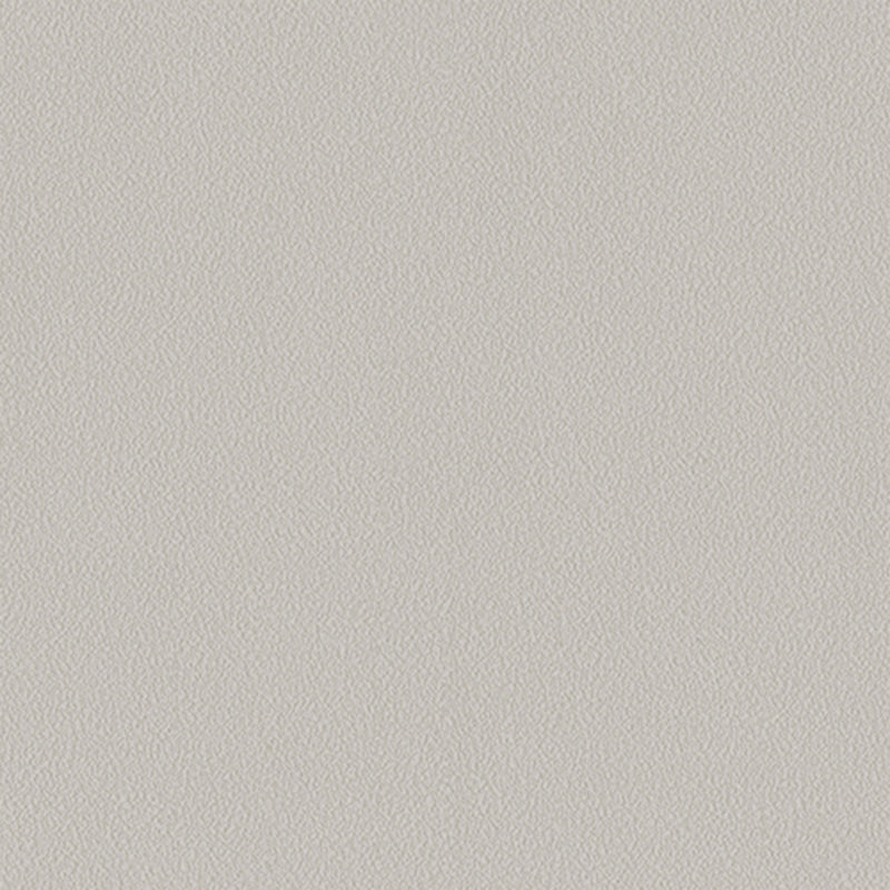 Light Beige Wallpaper, Rich Textured Wallcovering, Traditional, White Light Color