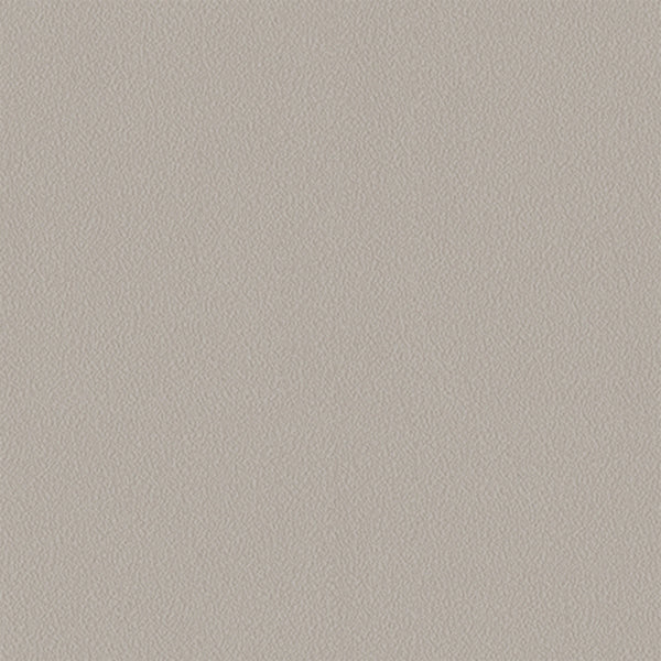 Soft Light Beige Minimal Texture Wallpaper