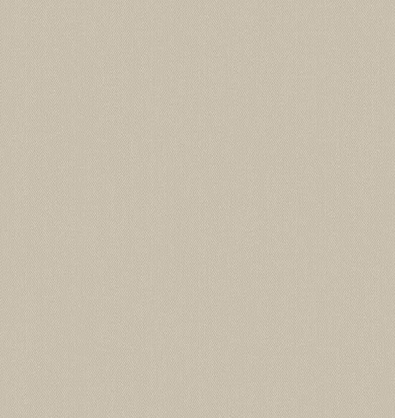 Ash Khaki