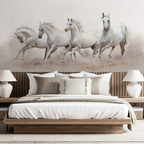 Desert Stallions / Étalons du désert